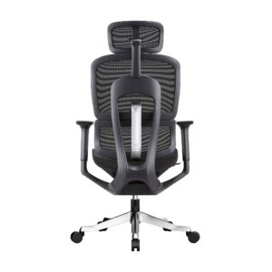 Bwell เก้าอี้ Ergonomic รุ่น Agnes สีดำ