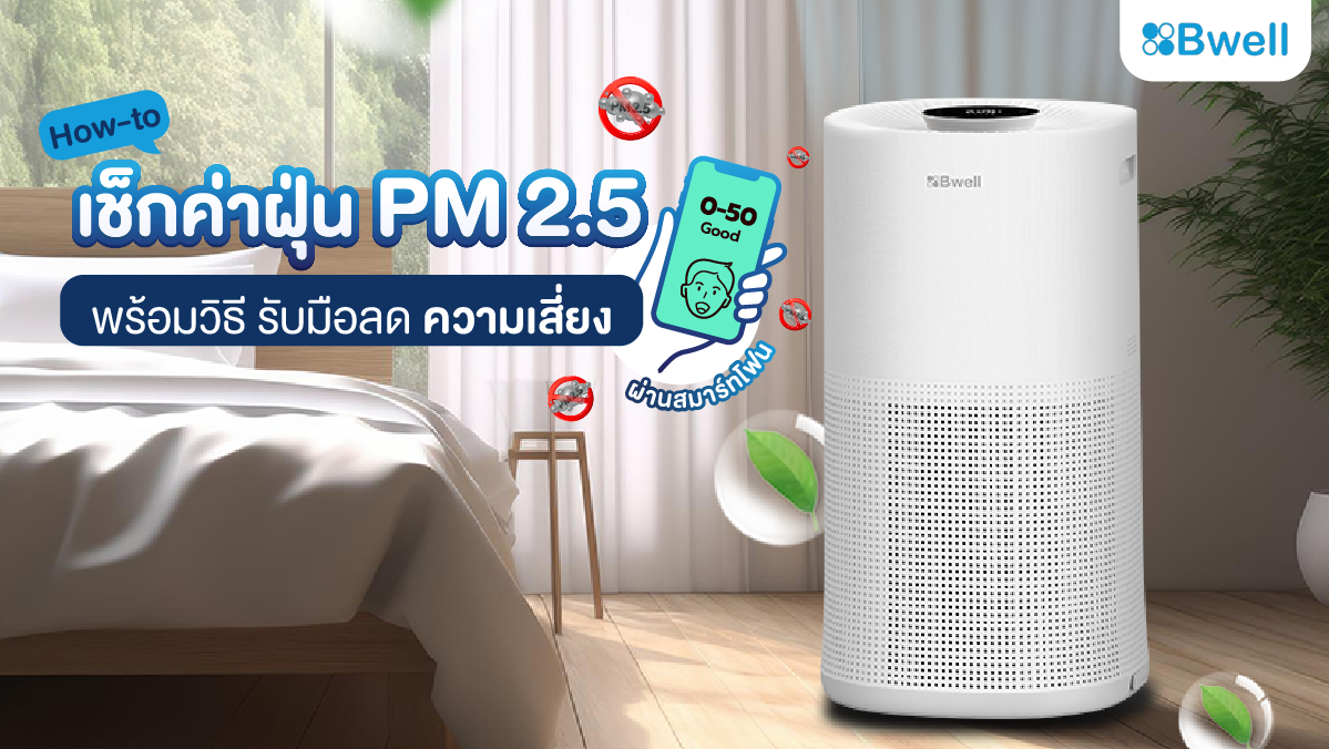 การป้องกันฝุ่น pm2.5